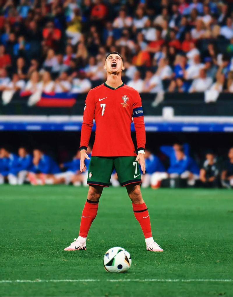 挑战与机遇 挑战与机遇